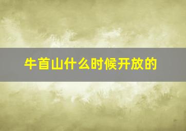 牛首山什么时候开放的