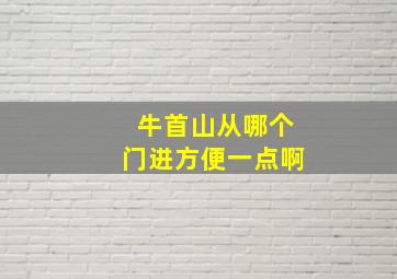 牛首山从哪个门进方便一点啊