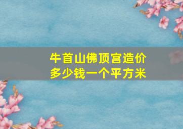 牛首山佛顶宫造价多少钱一个平方米