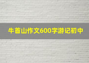 牛首山作文600字游记初中