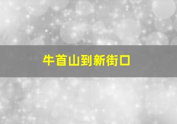 牛首山到新街口