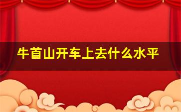 牛首山开车上去什么水平