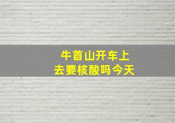 牛首山开车上去要核酸吗今天