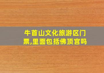 牛首山文化旅游区门票,里面包括佛顶宫吗