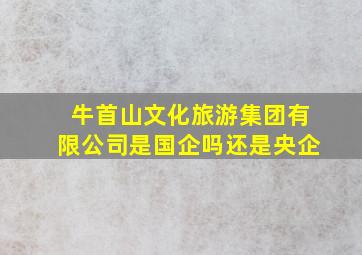 牛首山文化旅游集团有限公司是国企吗还是央企