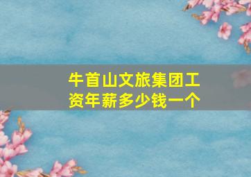 牛首山文旅集团工资年薪多少钱一个