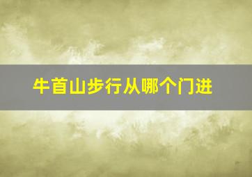 牛首山步行从哪个门进