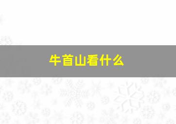 牛首山看什么