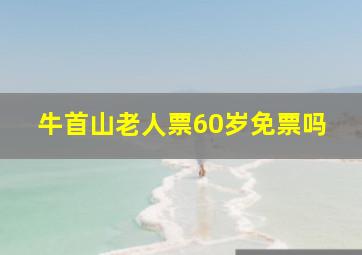 牛首山老人票60岁免票吗