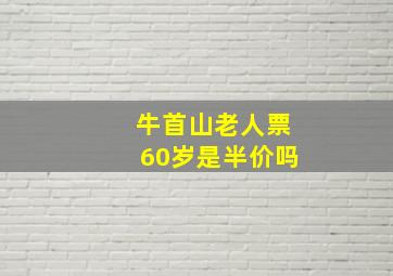 牛首山老人票60岁是半价吗