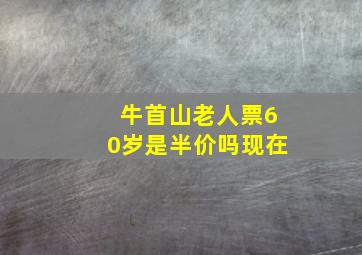 牛首山老人票60岁是半价吗现在