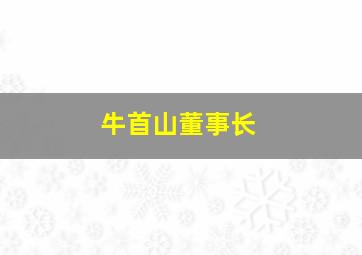 牛首山董事长