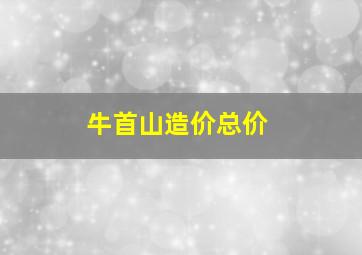 牛首山造价总价