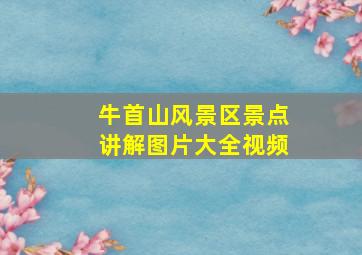 牛首山风景区景点讲解图片大全视频