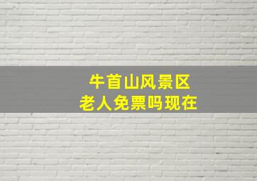 牛首山风景区老人免票吗现在