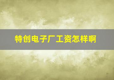 特创电子厂工资怎样啊