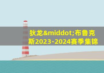 狄龙·布鲁克斯2023-2024赛季集锦