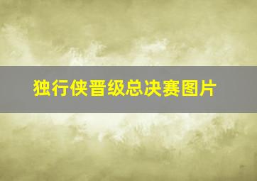 独行侠晋级总决赛图片