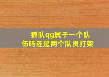 狼队qg属于一个队伍吗还是两个队员打架