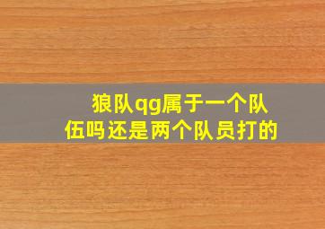 狼队qg属于一个队伍吗还是两个队员打的