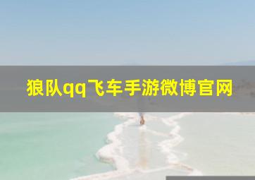 狼队qq飞车手游微博官网