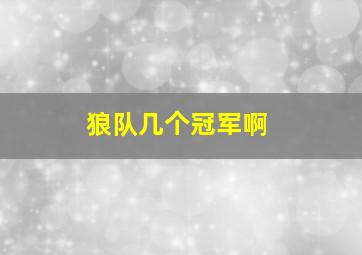 狼队几个冠军啊