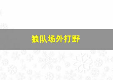 狼队场外打野