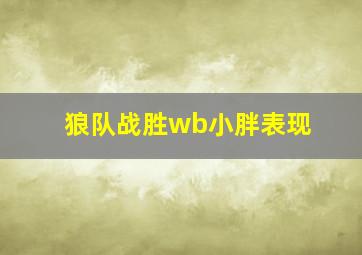 狼队战胜wb小胖表现