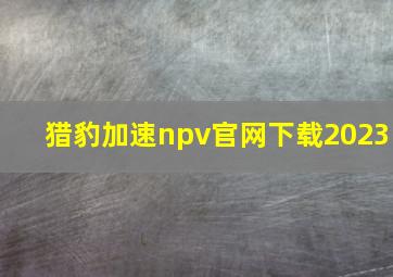 猎豹加速npv官网下载2023