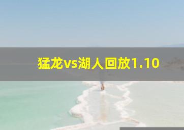 猛龙vs湖人回放1.10