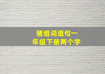 猪组词造句一年级下册两个字