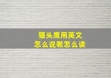 猫头鹰用英文怎么说呢怎么读