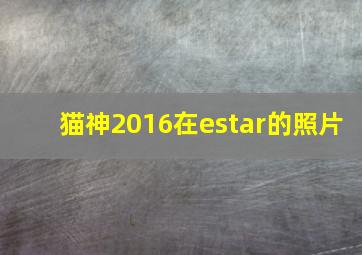 猫神2016在estar的照片