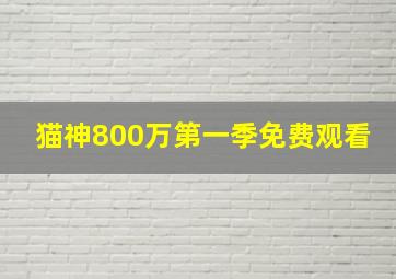 猫神800万第一季免费观看