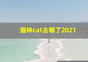 猫神cat去哪了2021