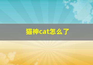 猫神cat怎么了