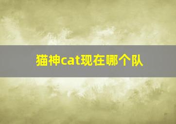 猫神cat现在哪个队