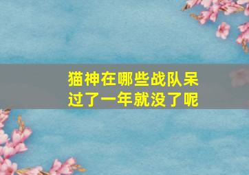 猫神在哪些战队呆过了一年就没了呢