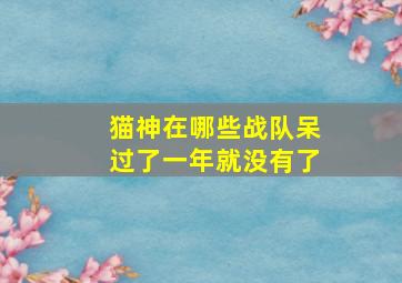 猫神在哪些战队呆过了一年就没有了