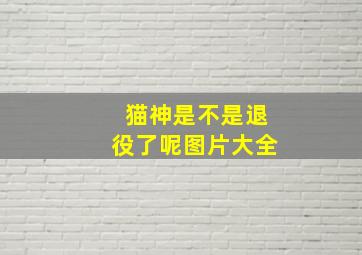 猫神是不是退役了呢图片大全