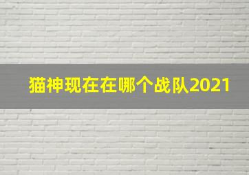 猫神现在在哪个战队2021