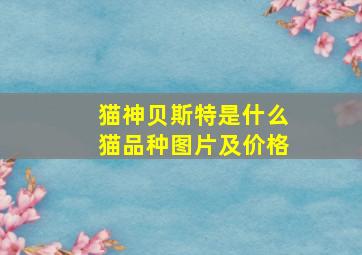 猫神贝斯特是什么猫品种图片及价格