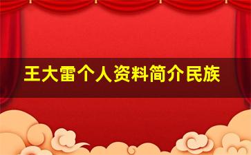 王大雷个人资料简介民族