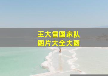 王大雷国家队图片大全大图