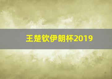 王楚钦伊朗杯2019