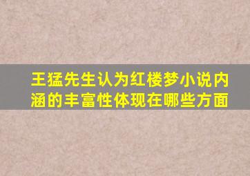 王猛先生认为红楼梦小说内涵的丰富性体现在哪些方面