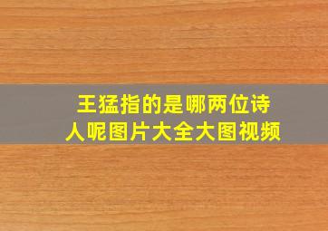 王猛指的是哪两位诗人呢图片大全大图视频