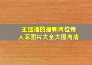 王猛指的是哪两位诗人呢图片大全大图高清