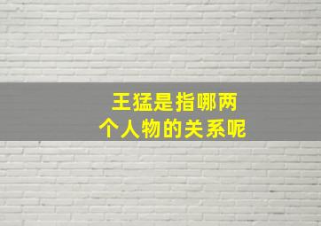 王猛是指哪两个人物的关系呢