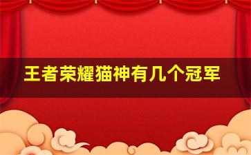 王者荣耀猫神有几个冠军